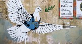 ‘The Armed Dove’ street art by Banksy near the Israeli separation West Bank Wall in Bethlehem.
