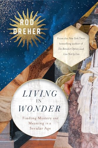 Book cover for Living in Wonder: Finding Mystery and Meaning in a Secular Age