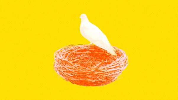 A white dove perched on a pink nest on a yellow background.