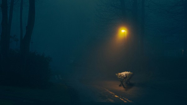 Misty dark night in the woods with a few houses in the distance. Yellow street light glows gently on an empty manger.