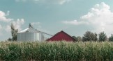 A red barn and metal silo in a field of corn
