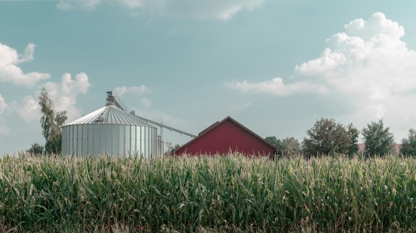 A red barn and metal silo in a field of corn